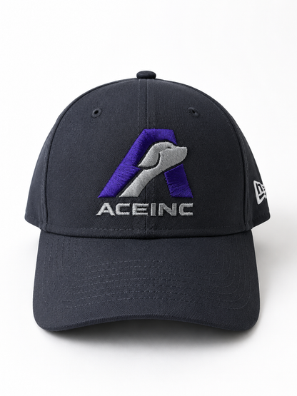 ACE INC New Era 39THIRTY charcoal cap with embroidered purple and grey logo